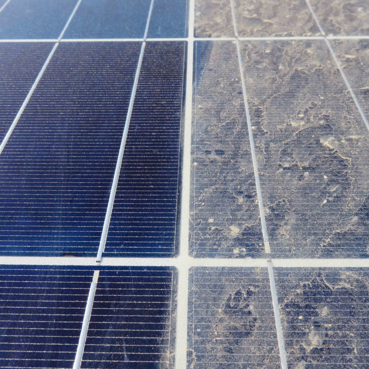 Solar Panel Cleaning Newcastle
